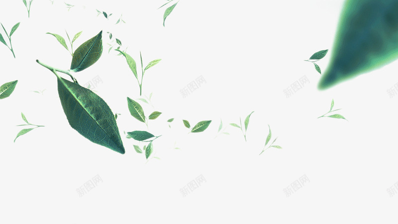 漂浮植物模糊茶叶png免抠素材_新图网 https://ixintu.com 植物 模糊 漂浮 茶叶