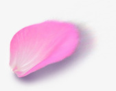 粉色单片花瓣创意png免抠素材_新图网 https://ixintu.com 创意 粉色 花瓣