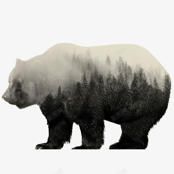 雪山林里的熊psd免抠素材_新图网 https://ixintu.com 北极熊 景色 树林 行走的熊 雪景