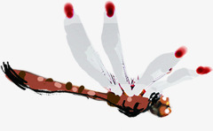 春季红白色手绘蜻蜓素材