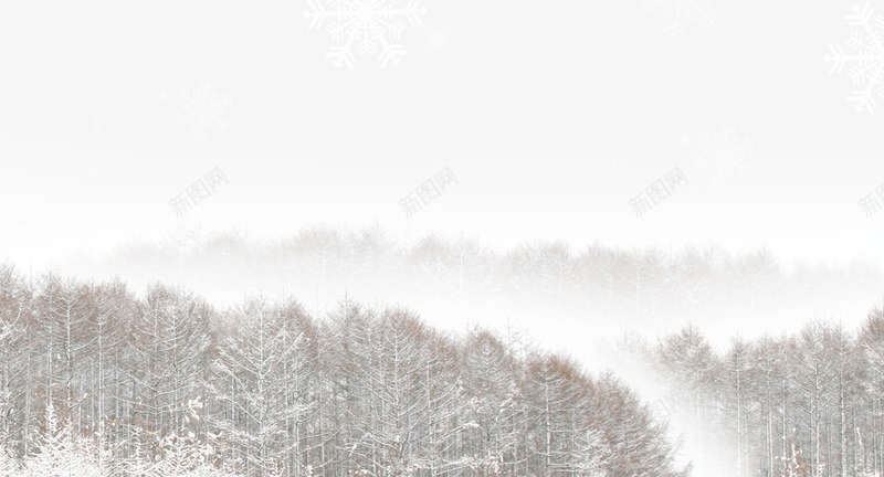 冬季雪地里的树林png免抠素材_新图网 https://ixintu.com 冬天 冬季 冬季素材 白色背景素材 积雪 雪树 雪花