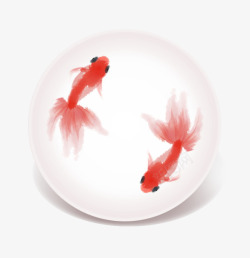红色观赏鱼富贵鱼高清图片