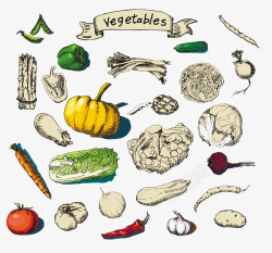 vegetable蔬菜的集合高清图片