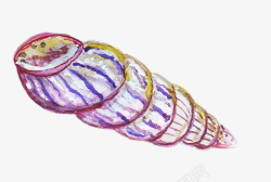 一颗海螺素描海螺高清图片