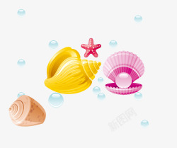 海螺贝壳珍珠素材