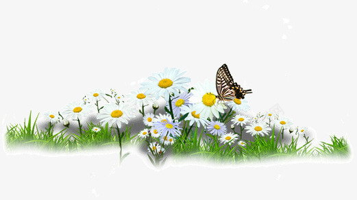 草地上的花朵与蝴蝶png免抠素材_新图网 https://ixintu.com 花朵 草地 蝴蝶