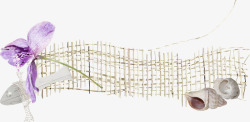 花枝装饰渔网海螺素材