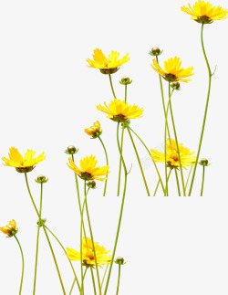 黄色创意花朵草地素材