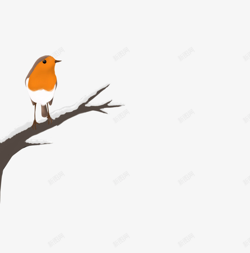 手绘树枝上的鸟png免抠素材_新图网 https://ixintu.com 冬天的枝头 卡通手绘 卡通画 喜鹊 小鸟 手绘图案 杜鹃鸟 鸟