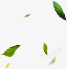绿色树叶春装新品上市png免抠素材_新图网 https://ixintu.com 上市 新品 春装 树叶 绿色
