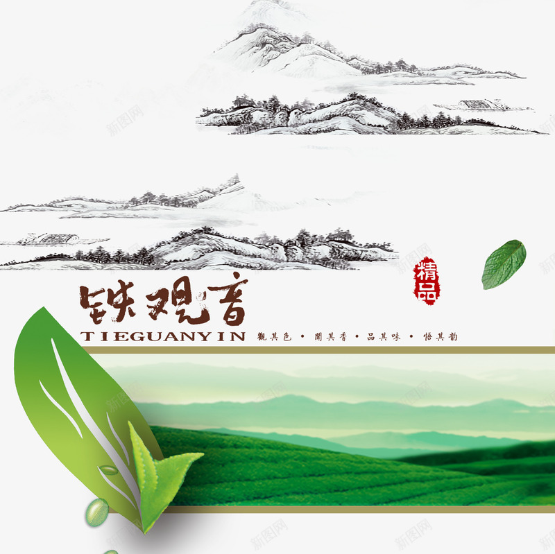 茶叶铁观音png免抠素材_新图网 https://ixintu.com 中国风 绿色 茶叶 铁观音