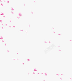 粉色花瓣效果素材