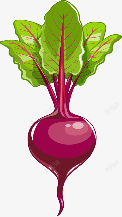 时尚卡通蔬菜png免抠素材_新图网 https://ixintu.com 卡通蔬菜 生物世界 萝卜 蔬菜水果