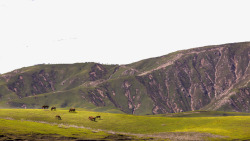 新疆伊犁优美风景素材
