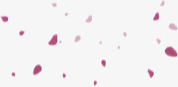飘落的紫色花瓣海报背景七夕情人节素材
