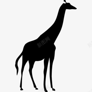 长颈鹿长颈鹿剪影图标图标