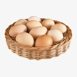 家禽设计鸡蛋高清图片