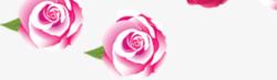 粉色玫瑰情人节活动页面素材