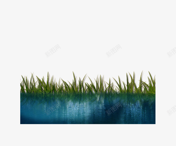 河边草地池塘png免抠素材_新图网 https://ixintu.com 池塘 清澈 自然 芦苇 草地