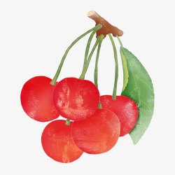 五个红色樱桃元素素材