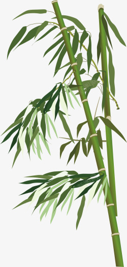 两根竹子清明节手绘竹子矢量图高清图片