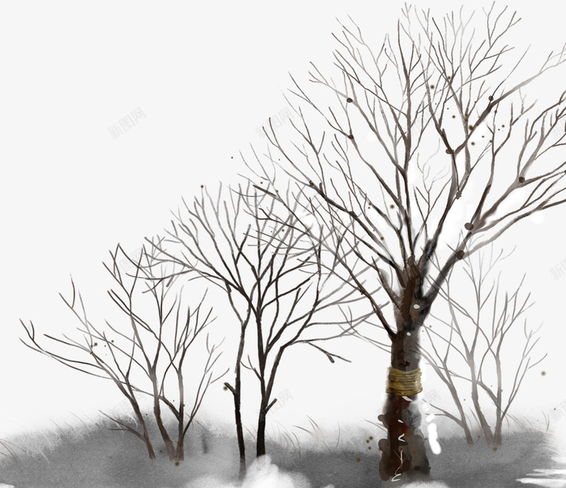 冬天的树png免抠素材_新图网 https://ixintu.com 冬天 冬季 冬季素材 树 没有叶子的树
