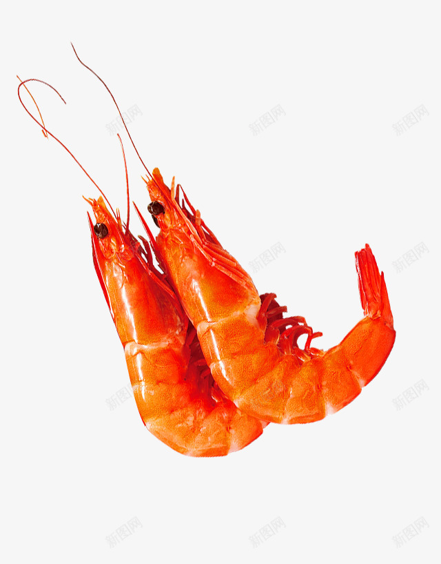 海鲜虾png免抠素材_新图网 https://ixintu.com 免抠PNG图片 对虾 水产 海鲜 美食
