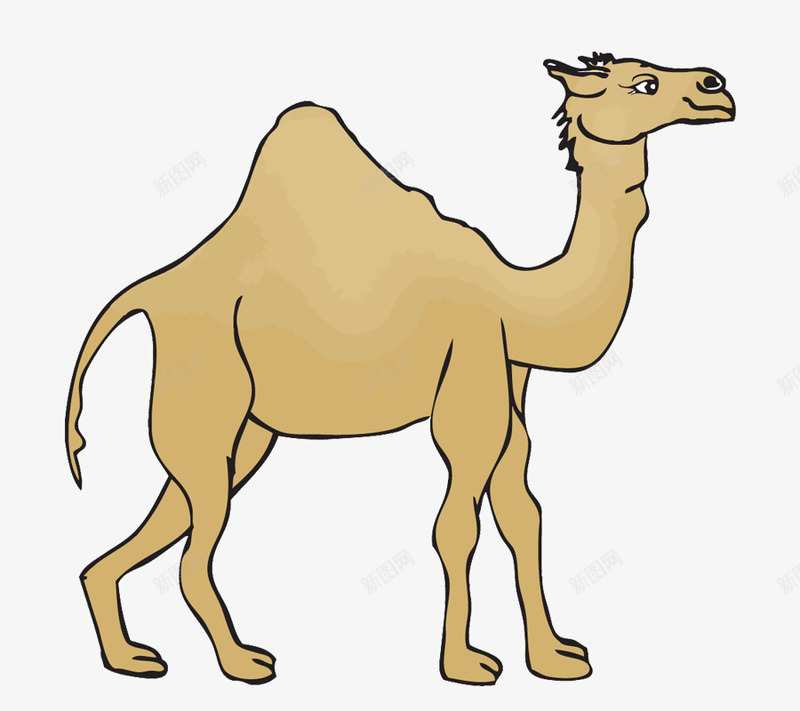简洁沙漠骆驼png免抠素材_新图网 https://ixintu.com 动物 沙漠 烈日 节约用水 骆驼