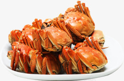 美味食品螃蟹素材