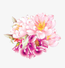风牡丹素材