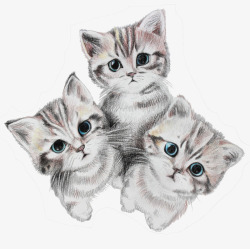 三只形态各异的小猫手绘三只灰色猫咪高清图片