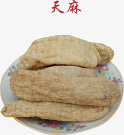 中国草药盘子天麻矢量图图标高清图片