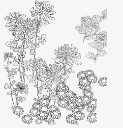 莲花装饰设计手绘图案手绘装饰线描菊花图案矢量图高清图片