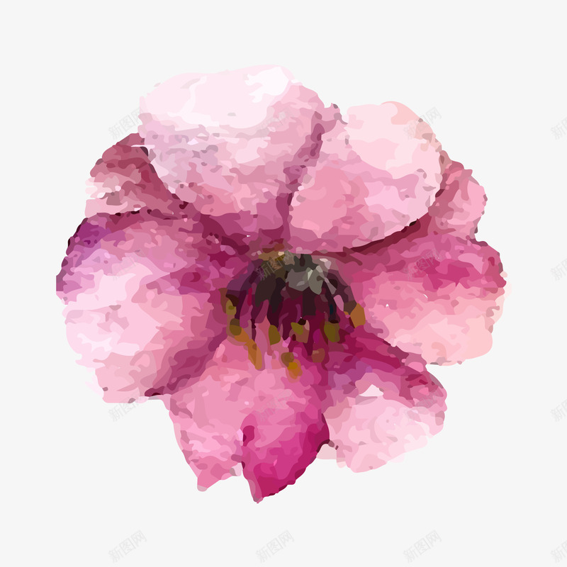手绘樱花png免抠素材_新图网 https://ixintu.com 手绘 日式 樱花