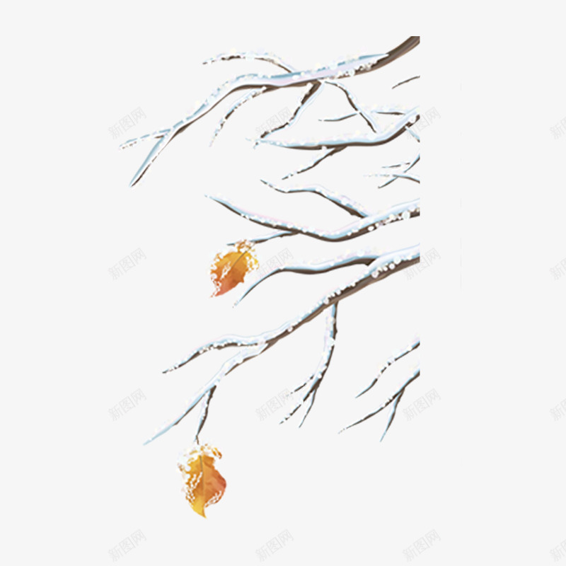 白色雪花装饰质感元素png免抠素材_新图网 https://ixintu.com 冬天 树叶 植物 灰色 白色 自然 质感 雪景 雪花