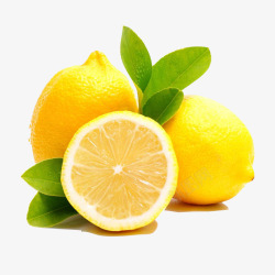 柠檬水果植物素材