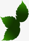 春季黑绿色漂浮树叶装饰png免抠素材_新图网 https://ixintu.com 春季 树叶 漂浮 装饰 黑绿色