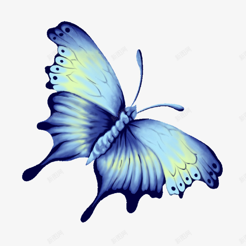 飞舞的蝴蝶图标png_新图网 https://ixintu.com 图标 美丽 蓝色 蝴蝶