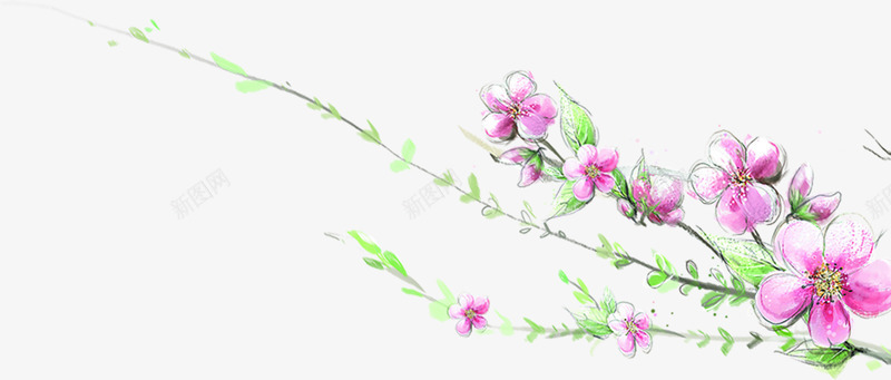 创意海报植物花朵涂鸦png免抠素材_新图网 https://ixintu.com 创意 植物 海报 涂鸦 花朵 设计