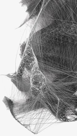 蜘蛛织网黑色网状装饰高清图片