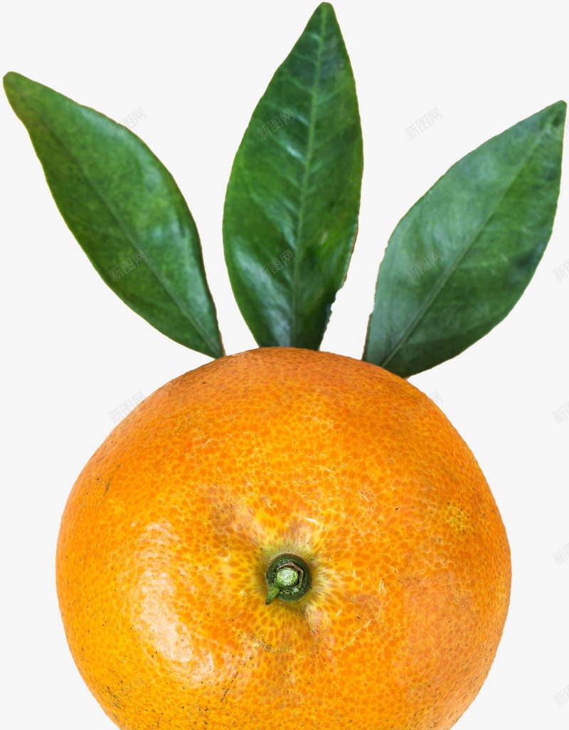 一个新鲜橘子png免抠素材_新图网 https://ixintu.com 冬天水果 叶子 新鲜 水果