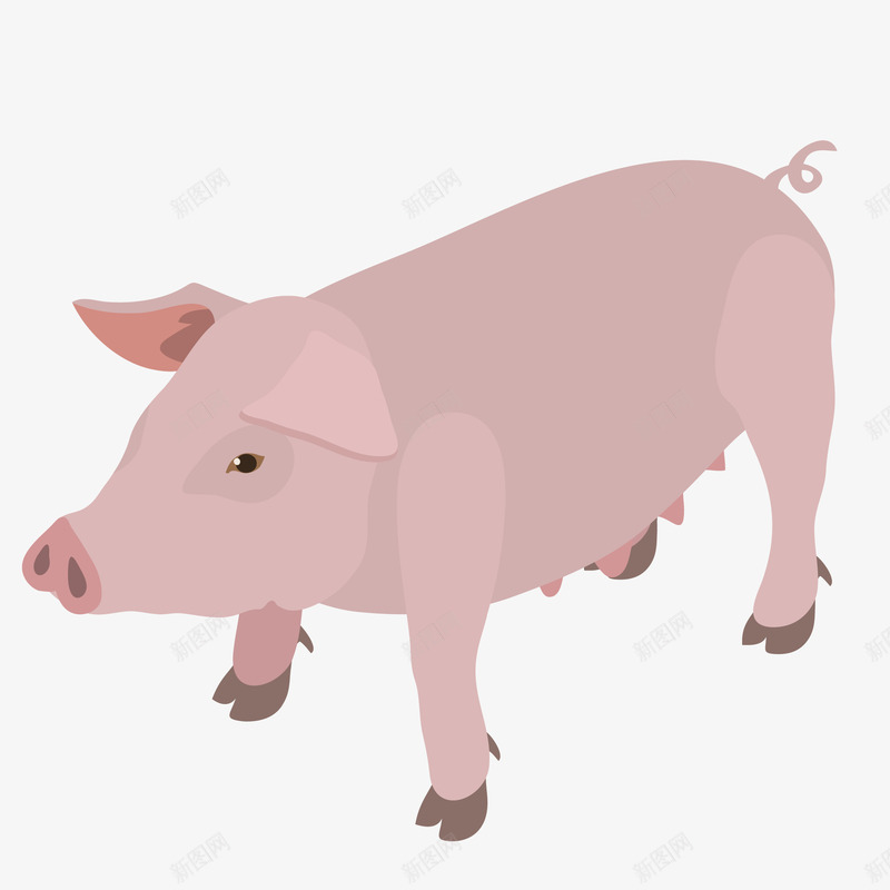 粉色可爱小猪矢量图eps免抠素材_新图网 https://ixintu.com 动物 卡通 图案 小清新 小猪 形象设计 生物 简约 粉色 精致 矢量图