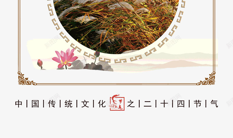 霜降芦花飘满天psd免抠素材_新图网 https://ixintu.com 满天 芦花 霜降 飘