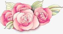 粉色淡雅手绘康乃馨花朵素材