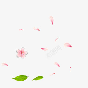 漂浮的花瓣和绿叶png免抠素材_新图网 https://ixintu.com 漂浮 绿叶 花瓣