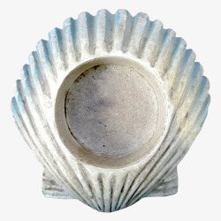 贝壳化石贝壳化石高清图片