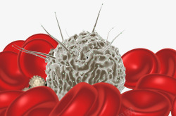 造血造血干细胞高清图片