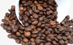 新鲜的咖啡豆新鲜咖啡豆原料高清图片