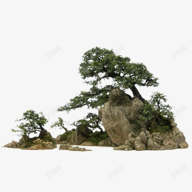 石头松树png免抠素材_新图网 https://ixintu.com png素材 日本松树 松树 石头 绿松树