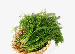 绿色配菜一篮子茴香菜高清图片